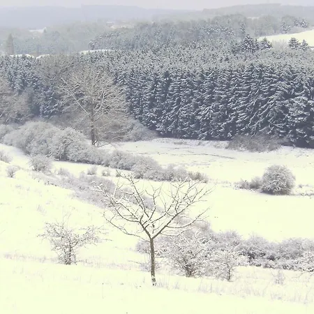 Ferienhaus Buchwald Hébergement de vacances Üxheim